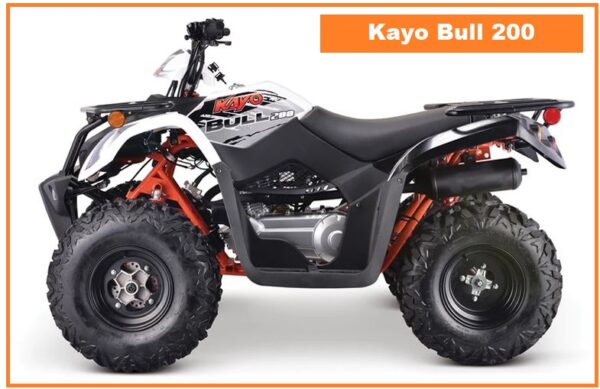 Kayo Bull 200 Top Speed, Specs, Price, Review