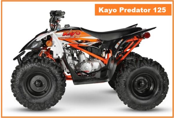 Kayo Predator 125 Top Speed, Specs, Price, Review