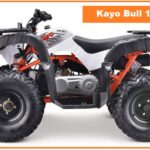 2022 Kayo Bull 180 Top Speed, Specs, Price, Review