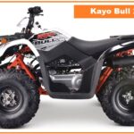 2023 Kayo Bull 200 Top Speed, Specs, Price, Review