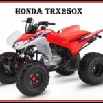 2023 Honda TRX250X Top Speed,Specs,Price,HP,Weight,Review